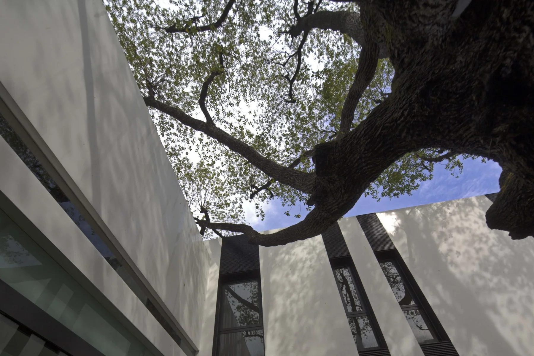 AR43%20Architects%20 %20Tembusu%20House%20 %20Dalvey%20Estate%204, Design Authority