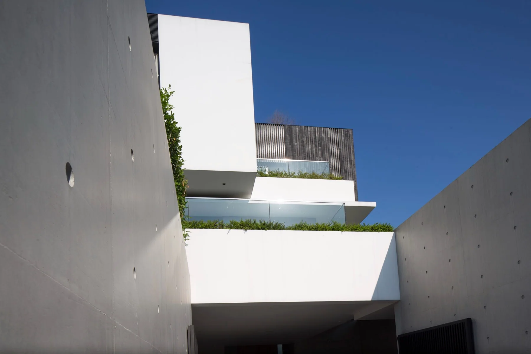 AR43%20Architects%20 %20Tembusu%20House%20 %20Dalvey%20Estate%206, Design Authority