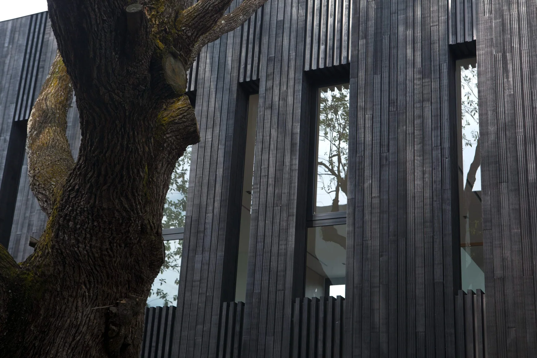 AR43%20Architects%20 %20Tembusu%20House%20 %20Dalvey%20Estate%2011, Design Authority
