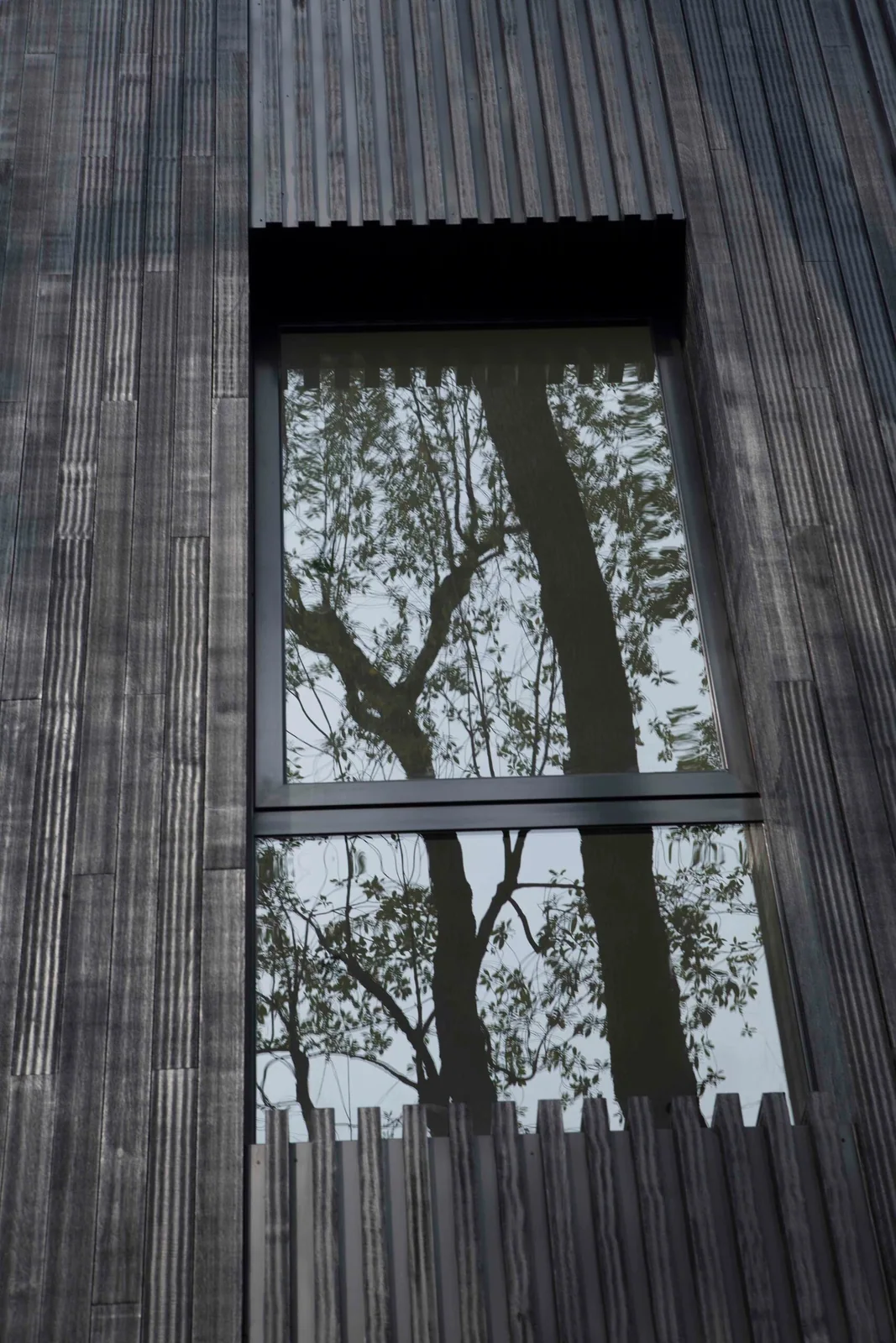 AR43%20Architects%20 %20Tembusu%20House%20 %20Dalvey%20Estate%2013, Design Authority